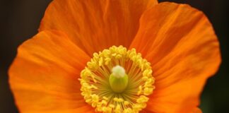 Kto wycenia wartość działki?