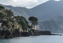 Ile kosztuje usługa rzeczoznawcy?