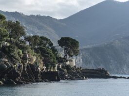 Ile kosztuje usługa rzeczoznawcy?