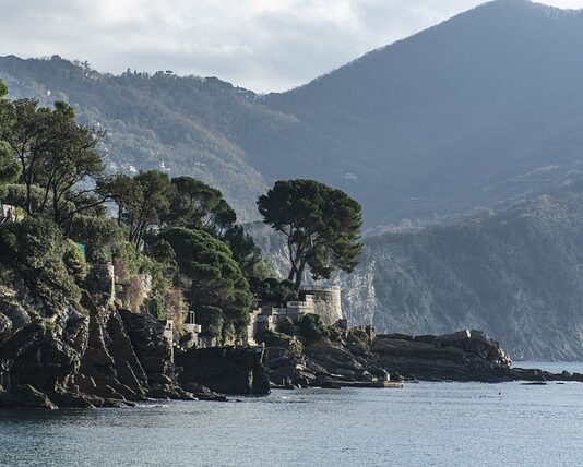 Ile kosztuje usługa rzeczoznawcy?