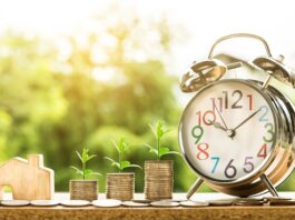 Czy dochód to czysty zysk?