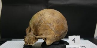 Po co nam antropologia?