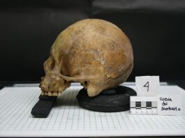 Co jest przedmiotem badań antropologii?