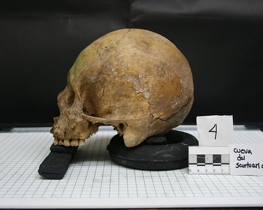 Na jakie pytania odpowiada antropologia?