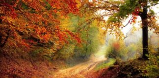 Kto wyliczy wartość od spadku?