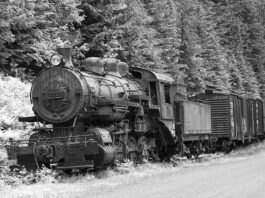 Co to jest CP i CCP?