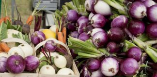 Jak sprawdzić wartość rynkowa gruntu?